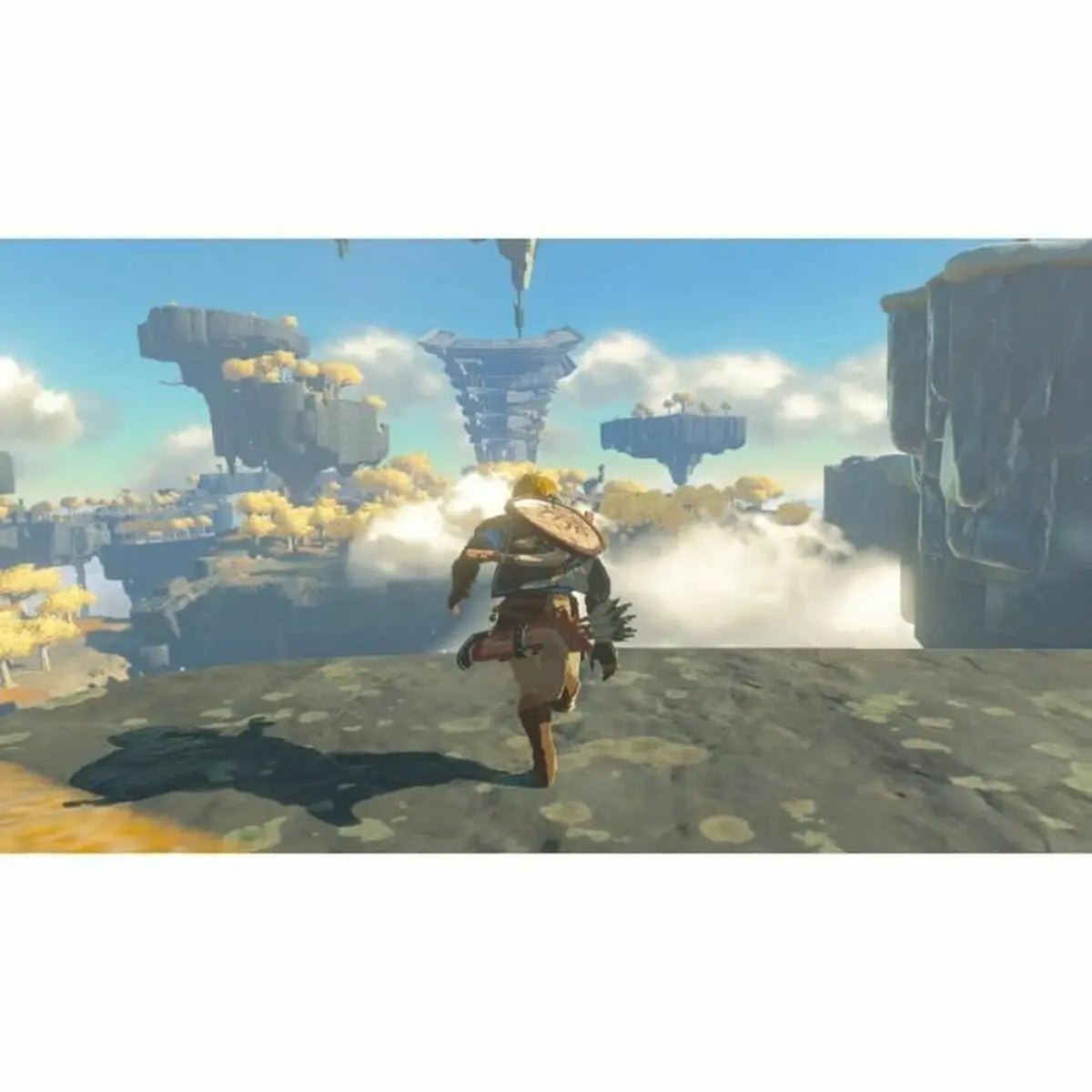 Video game for Switch Nintendo the legend - GadgetGlobe
