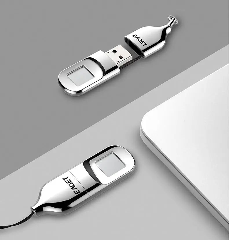 Fingerprint USB Encryption Disk - GadgetGlobe
